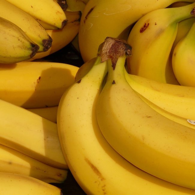 photo of Bananas for making Banana Bars